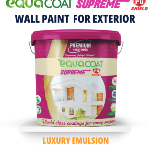 Exterior Wall Paint